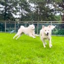 펜션 노엘 이미지