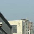 호텔3월 | <수원 더 마레보 호텔 홀 투어 후기 &amp; 3월 하객 방문 후기☀️ 27년도 1월 견적 공유>