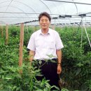 태양잡곡 - 청양군 중앙로 116-1 | 태양잡곡