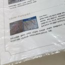 셀비오 - 강서구 | 마곡두피스케일링 [셀비오 마곡점] 모낭복원케어 후기