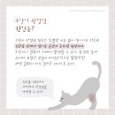 부평종합동물의료센터 이미지