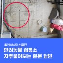 산책길(반려동물 미용실) | 반려동물 집청소와 일반 거주청소 차이? 비용? 자주물어보는 질문(청소업체대표 답변)