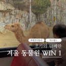 대야동 시민자전거 대여소 | 대전 오월드 겨울 동물원 사파리 체험 조카와 함께한 나들이 후기