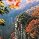 종합운동장역 5번 출구 앞 이미지