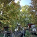 광교푸른숲도서관 이미지