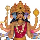 프라나요가 이미지