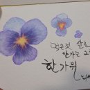 수채화(초급) 이미지