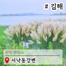 서  변 이미지