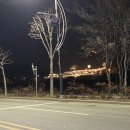 선은재삼계탕