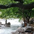 얼음골종점계곡펜션 이미지