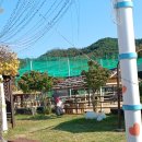 안동 아이들과 가볼만한 곳 주토피움 할인, 동물체험까지 상세 후기