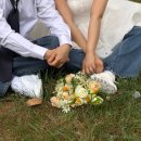 대전 웨딩촬영 부케 추천! 고백집 생화부케 내돈내산 후기
