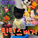 파주 운정 애견동반식당 틴틴스버거ㅣ목동동 홈메이드 수제버거 맛집