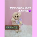 이쁘개샵 네이버블로그