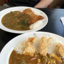 시흥 거북섬 가족식사로 딱인 일본식 카레맛집 내돈내산 후기 [코코이찌방야 시흥거북섬점]