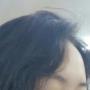 꾸미오 헤어 네이버블로그