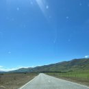 알포카 | [신혼여행 6일차] ep.24 뉴질랜드 와나카 라벤더팜, 그나무_Wānaka Lavender Farm,Wanaka Lake Tree