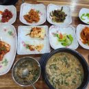 중독된냥 네이버블로그