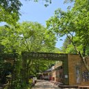 구곡폭포 캠핑장 | 춘천 강촌 근교 폭포 구곡폭포 주차장, 구곡폭포 입장료, 구구리카페, 구곡폭포국민여가캠핑장