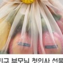 블룸청과