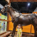 영천민속관 이미지