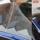 루페스빅풋디테일링센터 부천점 이미지