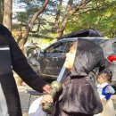 명돈골캠핑장 이미지