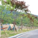 피아골오토캠핑장 이미지