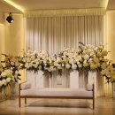 블루스타 | W01. 대구 웨딩홀 투어 및 계약 후기 (+ 엠스타하우스 블루스타홀 견적 공유)