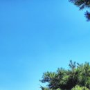 꽃지 화이트 펜션 이미지