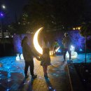 GS25 수원일월점 | 일월수목원 야간개장 수원 실내 데이트 요금 정보 후기