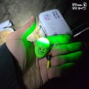 갯바위 | 소안도 금강산 포인트 감성돔 갯바위낚시 후기