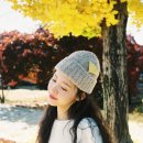 데일리멍 이미지