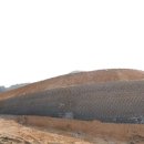 홍성목장 이미지