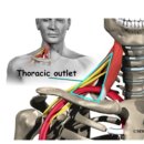숲속부부한의원 이미지