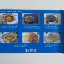 천성기업