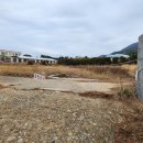 금장해수욕장 이미지