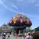 갈담초등학교 | 에버랜드 후기 / 에버랜드 꿀팁 정리 𖤐 / 에버랜드 썸머워터&amp;밤밤클럽 후기 /에버랜드 가기 전 필독