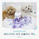 맥스 | 강아지 유산균 추천 케어사이드 모두 보울라디 맥스 급여 후기