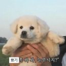 2월 생일로그:: 제주 차암 재미지다