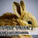 (주)그루터기 Daum카페
