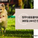 서원동물병원 이미지