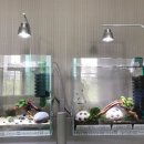 어항고개 이미지