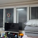 장미그린빌라 이미지