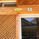 고양이분양제나캣사상점 | 템플스테이추천 단양 미륵대흥사ㅣ강아지 고양이 맛있는밥