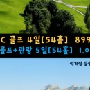 해피투어 (주)씨아이 네이버블로그