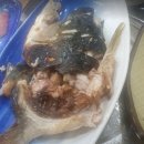목포낙지마을 - 남양주시 북한강로 1516-1 | 목포낙지마을