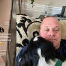 껌딱지펫 이미지