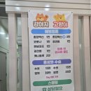 베스트동물병원 | 가장 싸다는 '베스트 동물병원' 공장형 강아지 예방접종 솔직 후기부터 반려동물 식당 출입 개정법까지