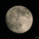 알콩달콩 이미지